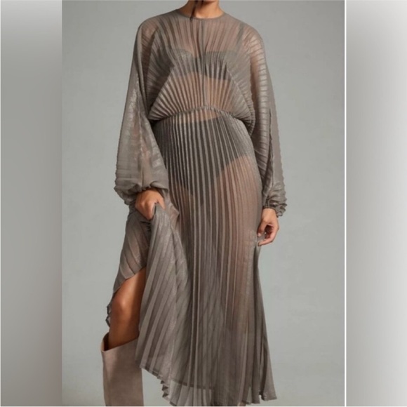Anthropologie Dresses & Skirts - Anthropologie Sheer Pleated Taupe Maxi Dress